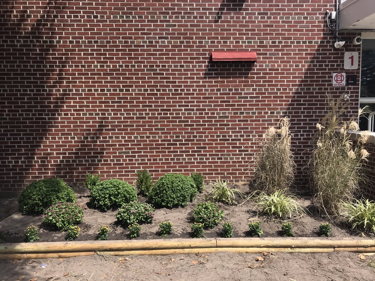 MTPSPrincipal's tweet photo. Phase 1 of River Plaza PFA  Landscaping project to improve our front entrance is complete! Next step is mulching and planting grass! Thank you PFA!! #MTPSPride #RPfamily https://t.co/YDHodOHSaF