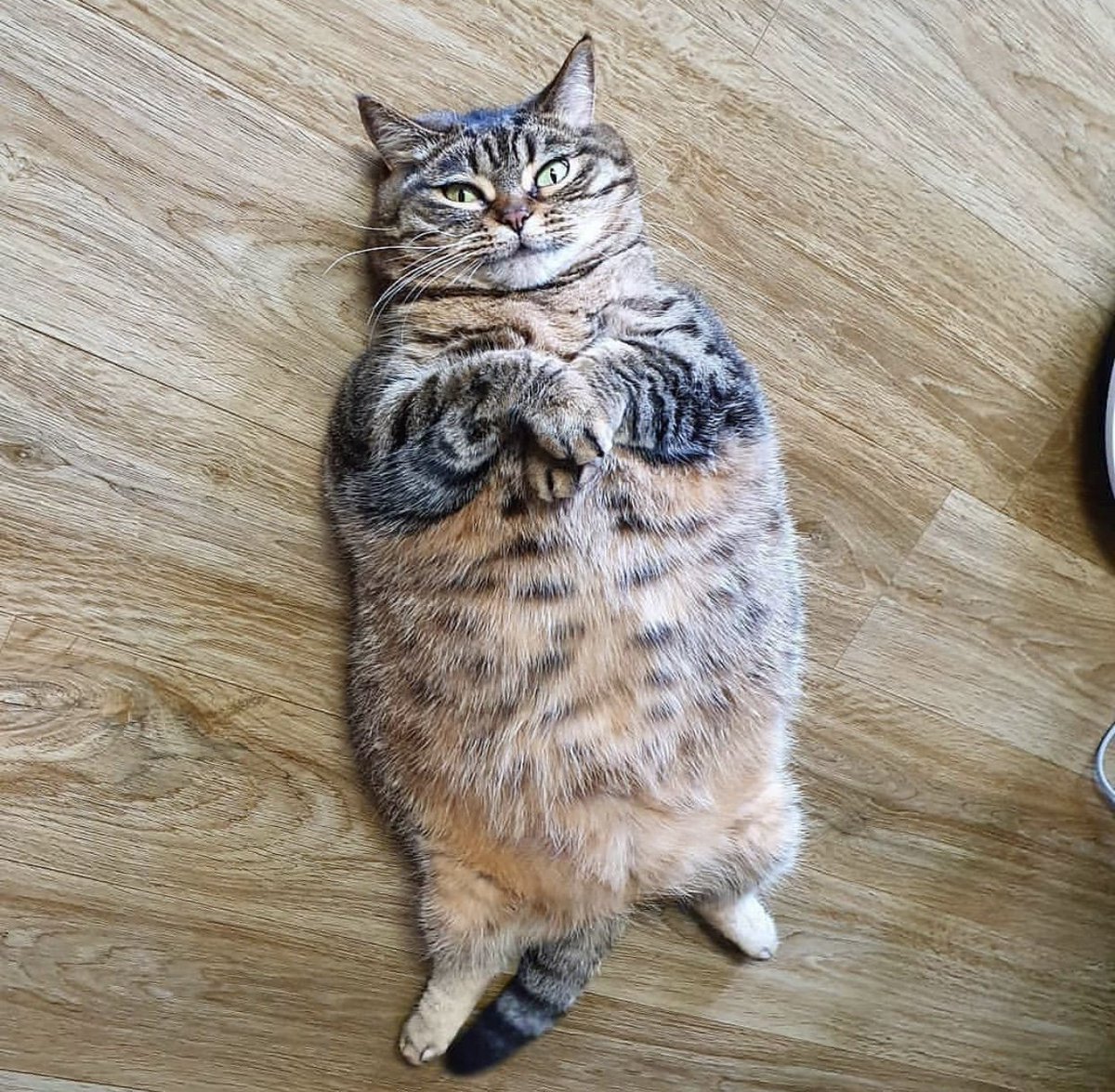 EDUaCCcU0AAaBTV.jpg:large