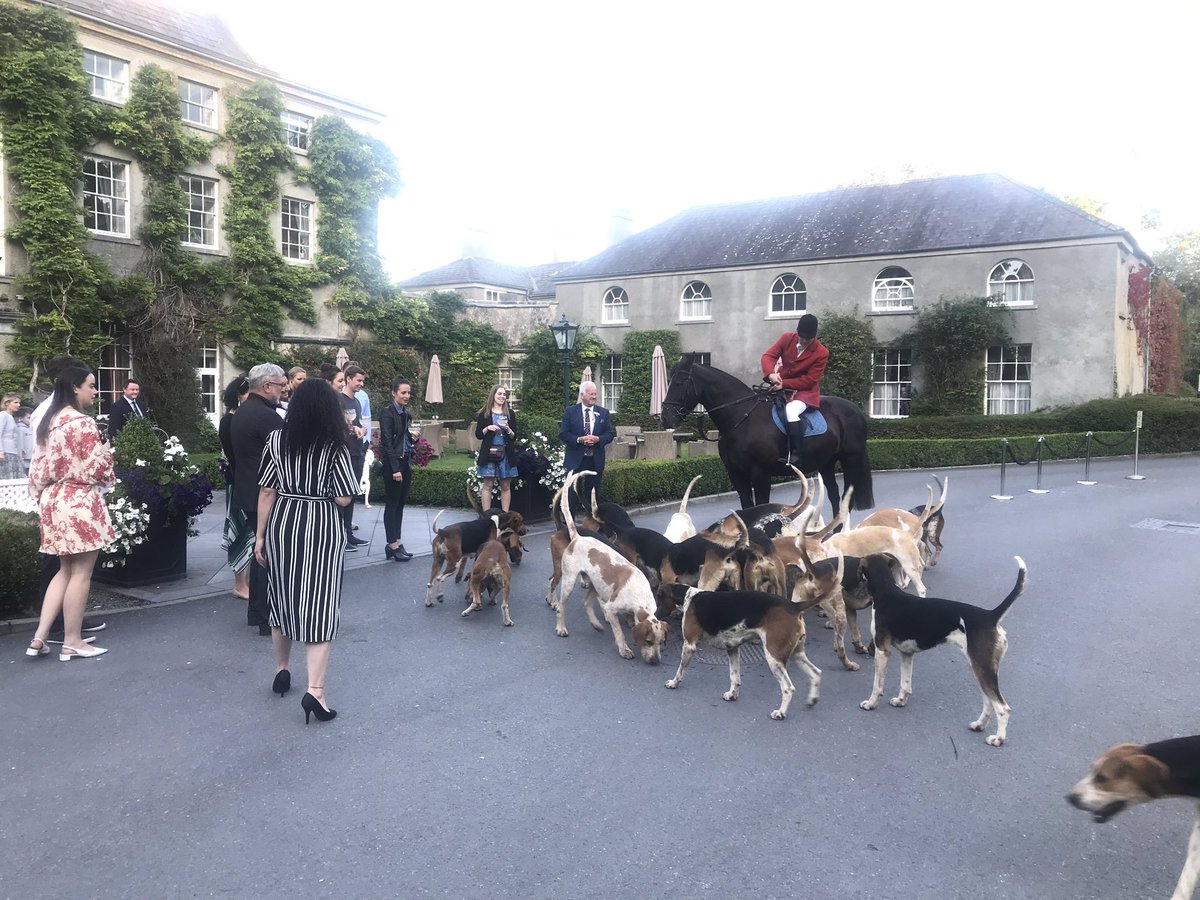 87tini's tweet photo. Great to have @wallace_travel Fam Trip to @mountjuliet tonight #germanfam #meetinireland #IrelandsAncientEast https://t.co/NgaLrlZtDt
