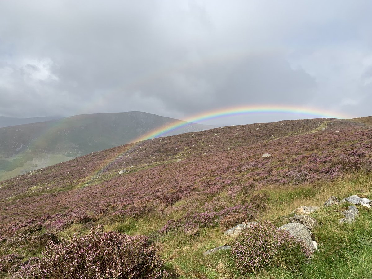 wallacebooth's tweet photo. Great to catch up with @ms_surferrosa .... not been that long, just 17 years 😳 #ireland #countywicklow #wicklowmountains #loughtay #loch #mountains #countryside #avoca #avocamill #friends https://t.co/VlzZTQdXjA