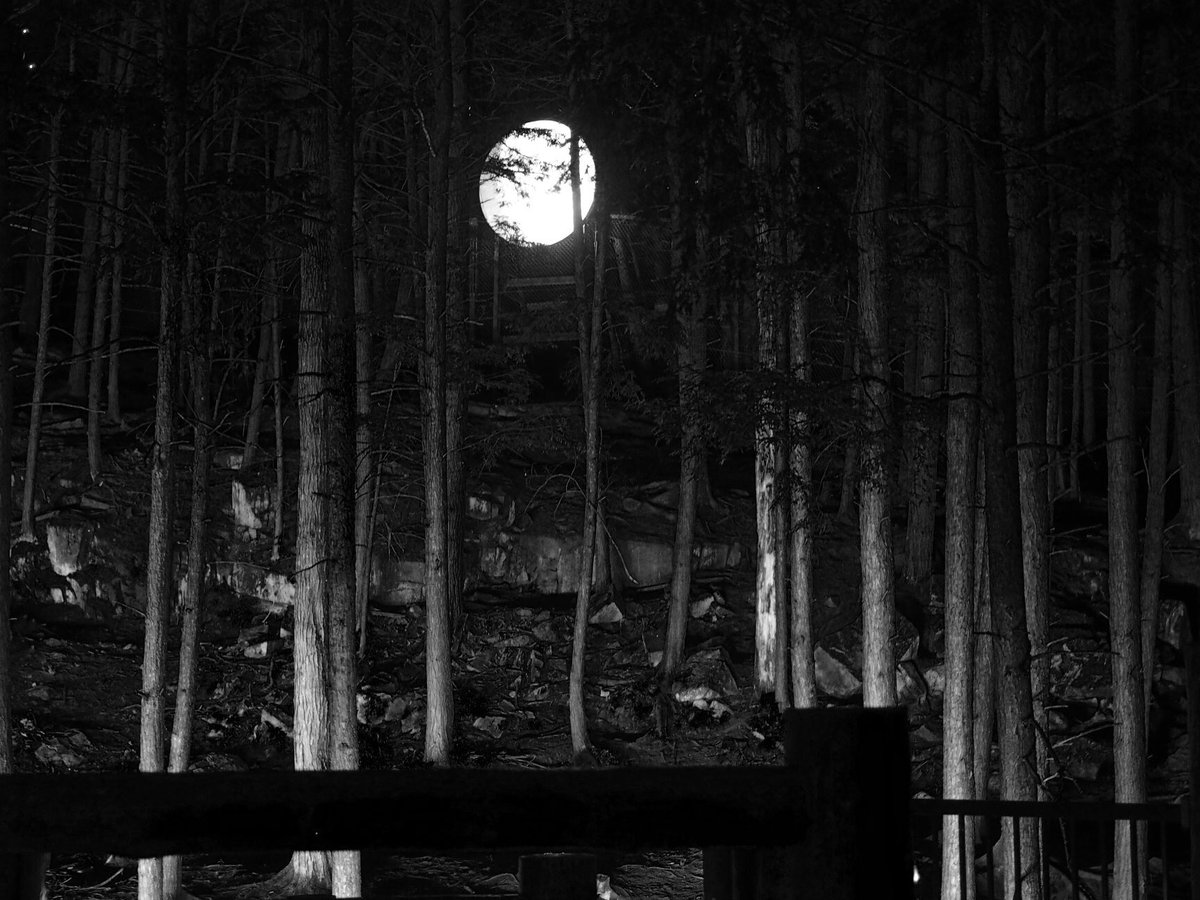 20YS's tweet image. Want something unique to do with the whole family?

@parc_omega by Night! 🐺 

Explore new illuminated walking trail, #OmegaByNight, a magical night experience.🌙

#ParcOmega by Night is open on Thurs to Sat!🦌 

🎫: bit.ly/2yZ6GpV

#OutaouaisFun #MyOttawa #Montebello