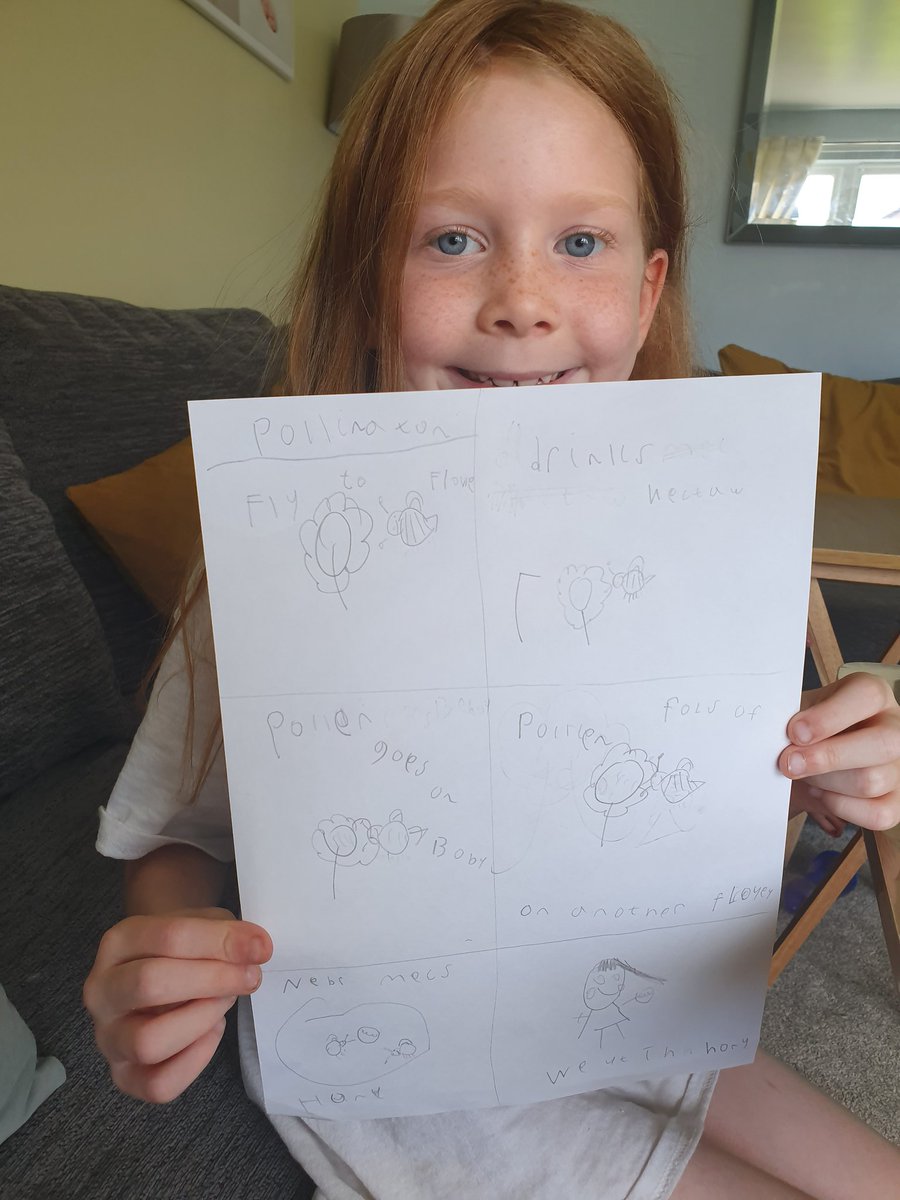 DanielleSSincl1's tweet photo. Imogen teaching me all about pollination today 😀. She loving learning about nature. @mrsmilliganp2 @EastbankPri  
#everydayisalearningday https://t.co/swg9Vt6p7C