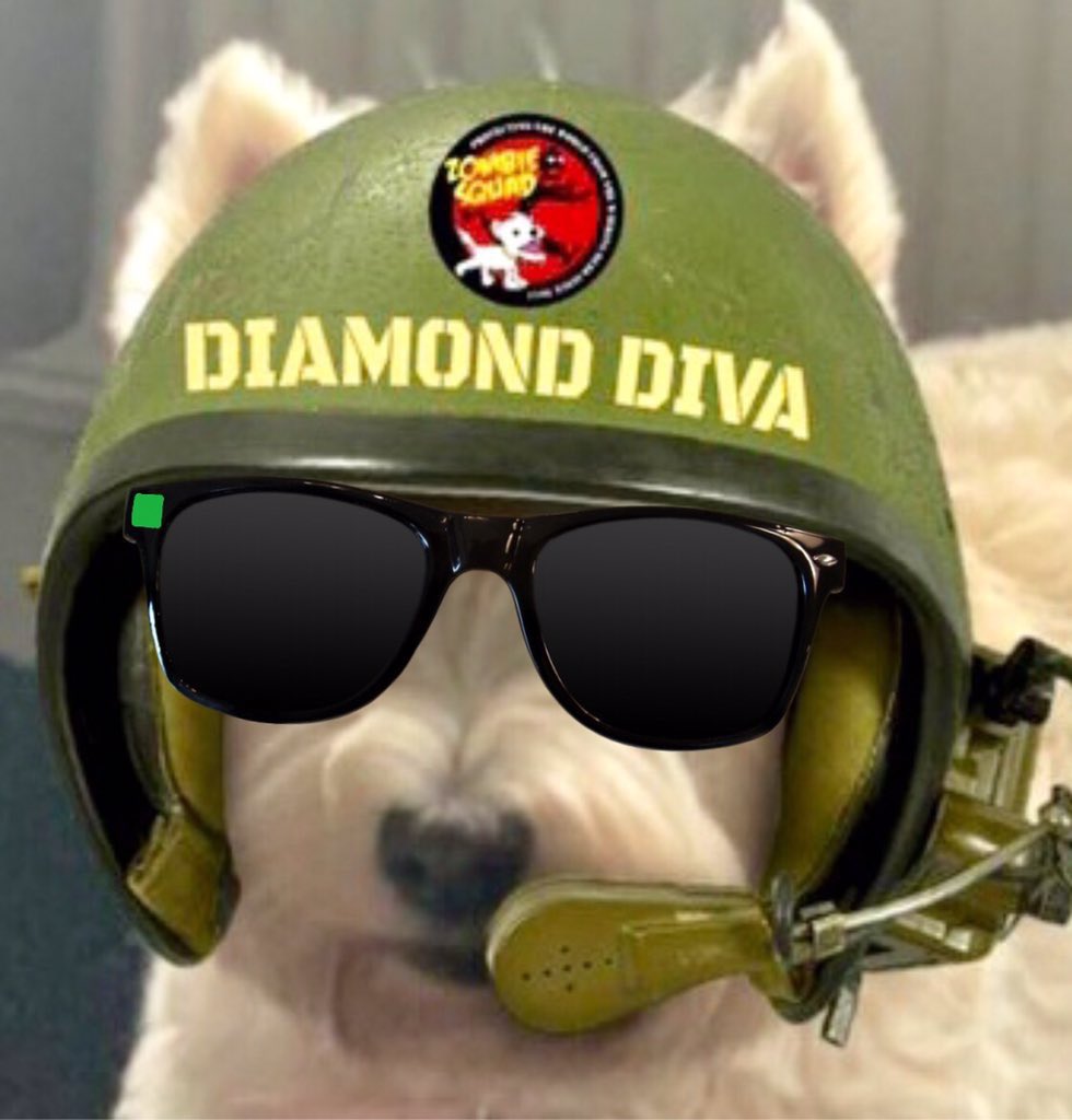 Thank you #ZDCG I look so fierce for a Diva missing my Diamond Bow though dat me super power with me bandana #ZSHQ @MuddlesDog @ZombieSquadHQ 🐾💎