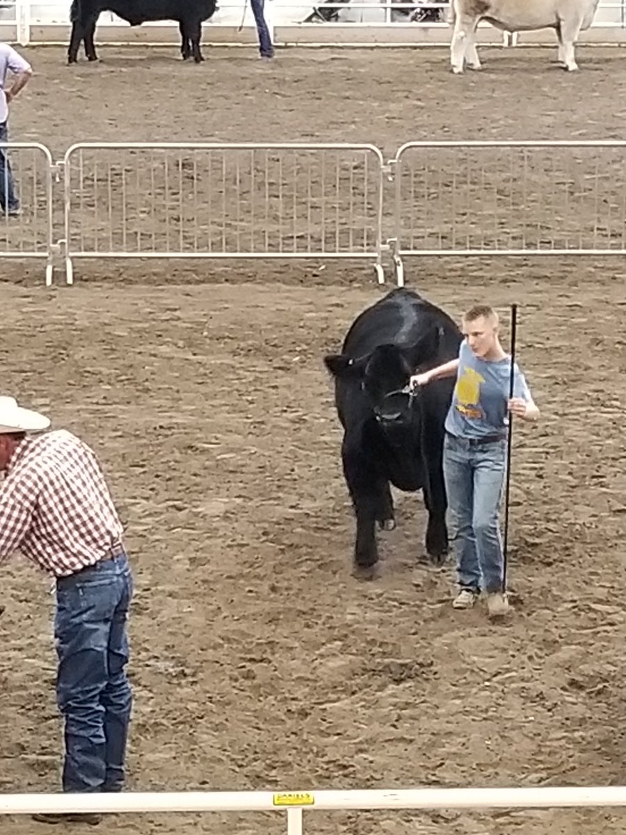 MrEhlersScience's tweet photo. More pictures of @OvertonEagles students and their animals at the state fair. #WeROverton @OvertonFFA https://t.co/7FAPUJnc4U