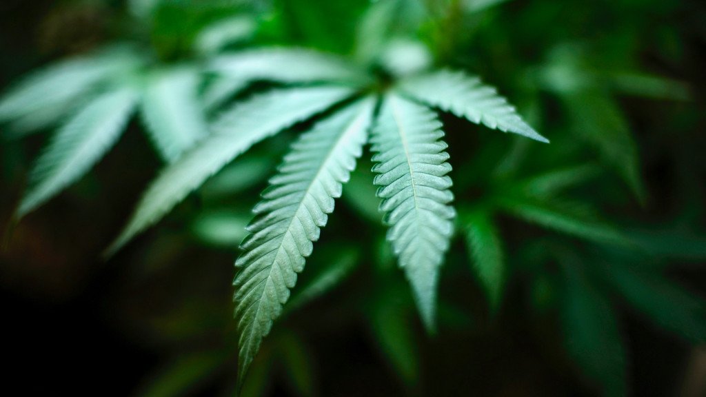 Pioneer Press tweet media