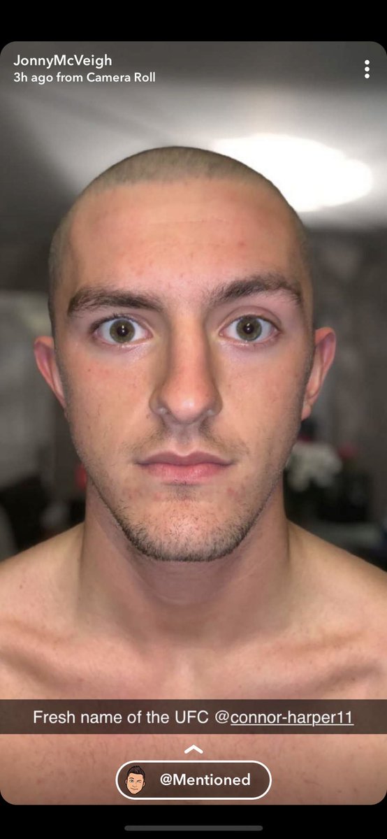 Connor Harper tweet media