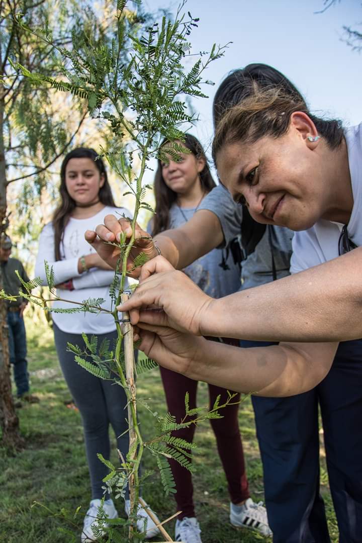 GobAgs's tweet photo. Con la participación de los aguascalentenses, el nuevo Bosque Urbano en el Cerrito de la Cruz será una realidad; los árboles plantados en las pasadas reforestaciones están recibiendo el seguimiento que necesitan. 

#HacerLoCorrecto https://t.co/KZ5o2PNN0z