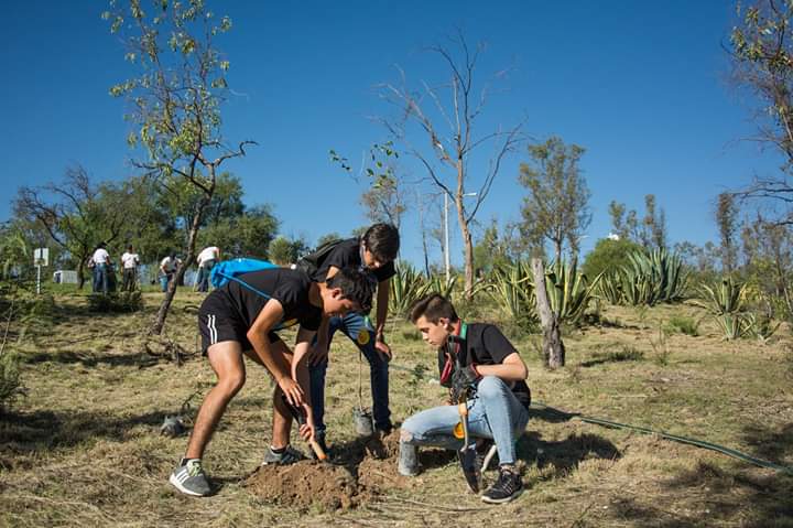 GobAgs's tweet photo. Con la participación de los aguascalentenses, el nuevo Bosque Urbano en el Cerrito de la Cruz será una realidad; los árboles plantados en las pasadas reforestaciones están recibiendo el seguimiento que necesitan. 

#HacerLoCorrecto https://t.co/KZ5o2PNN0z