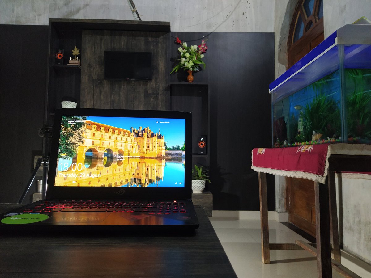 vfxwalaprince's tweet photo. @Upwork Here's the place where i spend my whole day 😍😊. 
Plants and fishes give me energy 😊
#DecorateUpworkChicago 
#upworklife
#upwork
#freelancegraphicsesigner
#decorateupworkchicago
Also my new office is under Construction hope to work from there very soon https://t.co/8Qbd1u26gV