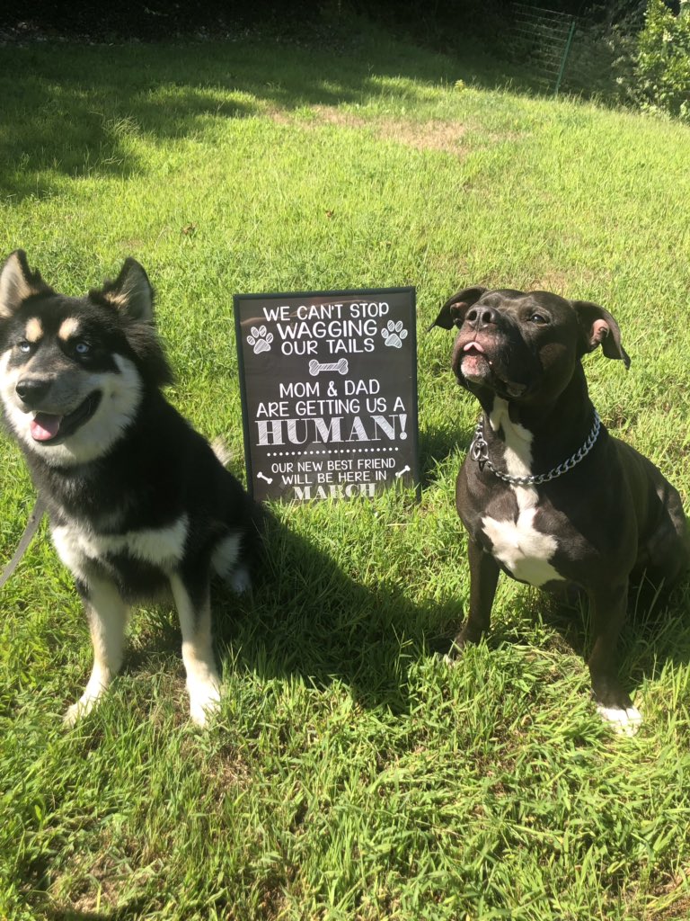 The boys wanted to help us introduce the newest chapter of our lives 👶 🍼!Baby Marsden make an entry into our lives March 2020