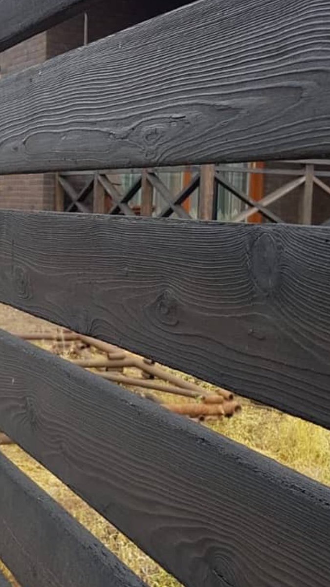 Timber Ireland tweet media