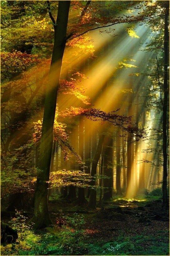 ~The last days of summer and the arrival of beautiful autumn and its colors... I love September. ❤

#HappyNewMonth ... for all! 
#WelcomeSeptember 🍃🍁🍃