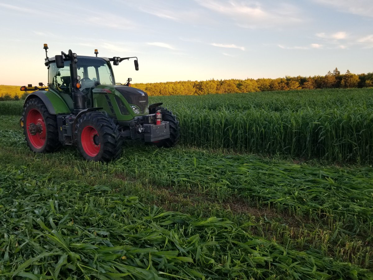 Alan Frizzell tweet media