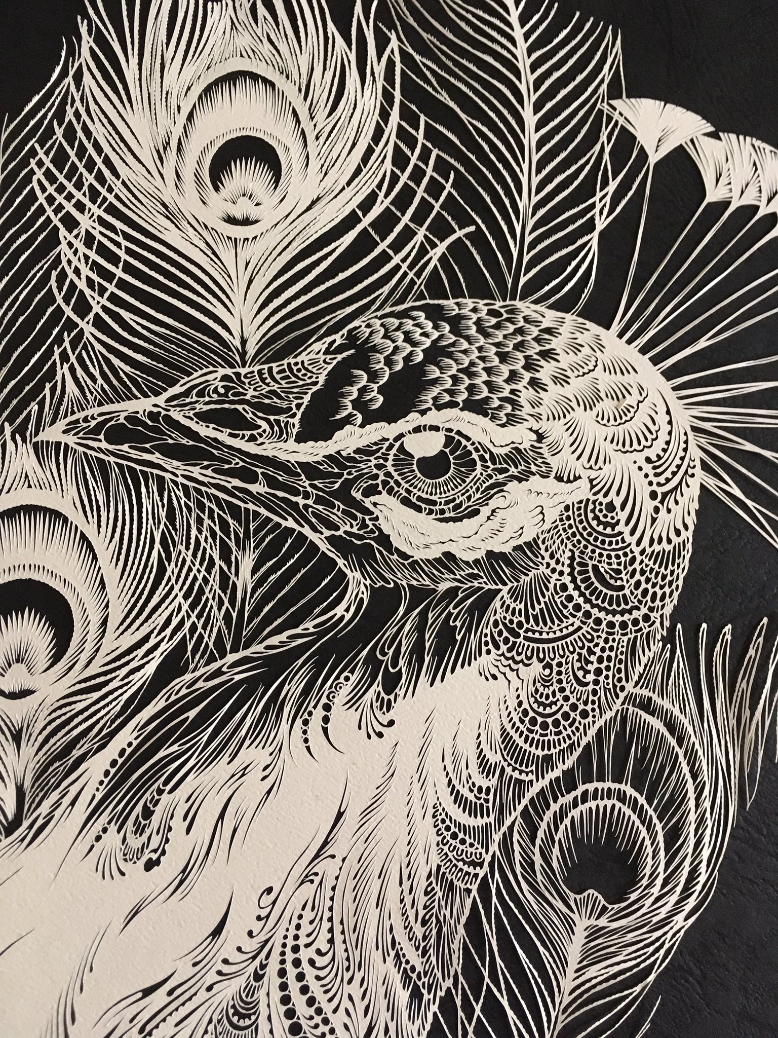 孔雀　螺鈿　蒼岳筆　絵 孔雀 螺鈿 蒼岳筆 絵