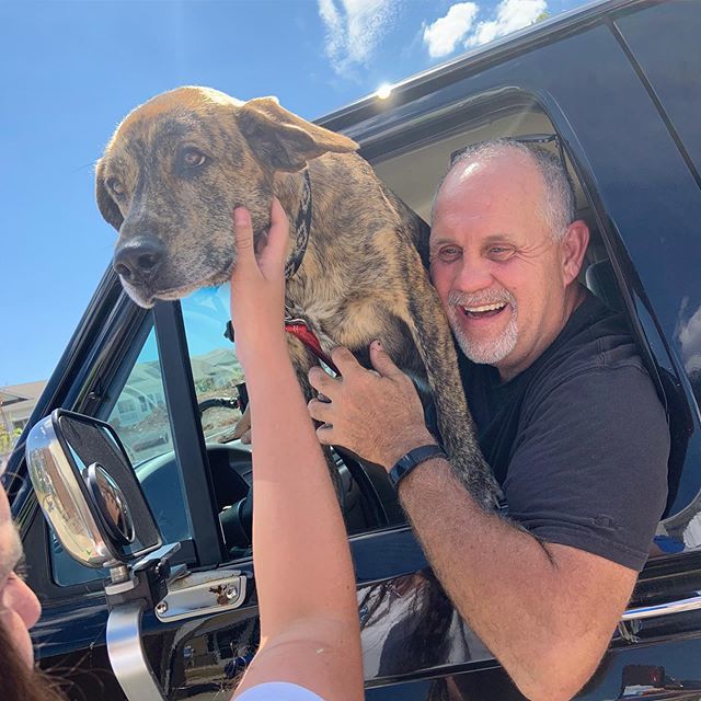 SplashysCarWash's tweet photo. Meet Gracie, our newest Splashy’s fan! 🐶 We love meeting your pets, keep’em coming! Proud to be family owned &amp; pet friendly 😉

#splashys #grandopening #carwash #murfreesboro #tn #carcare #carwashing #car #auto #clean #wax #polish #murfreesborotn #loc… https://t.co/Td3LCaimLy https://t.co/1OMX2bY71r