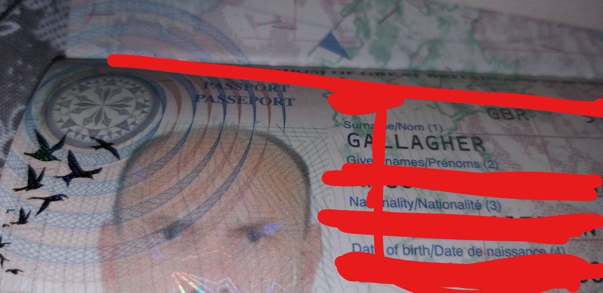 It wasn't long before Angus slid into my DMs. Mostly because I used to respond to his trolling. In a surprise move, he self-doxed, and sent me a copy of his passport page. It was a British passport, along with DoB and his middle names. Surely enough, it said Angus Gallagher...