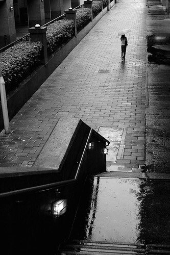 ما نعيشه اليوم لا يشبه 
ما كنا نعيشه بالأمس
تغيرت كل الملامح 
وتبدلت الشخوص
ذهب الماضي بلا رجعة، 
وترك لنا الأطلال والذكريات ..

#سلطان