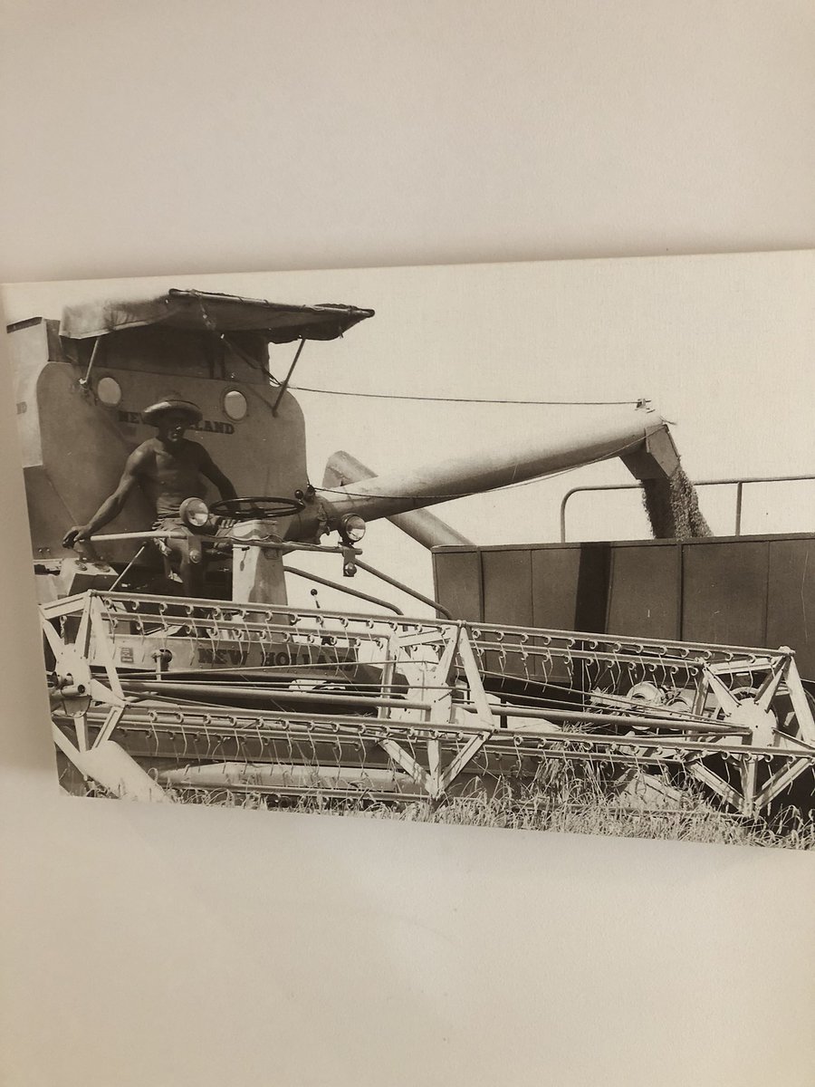 Andrew Godde tweet media