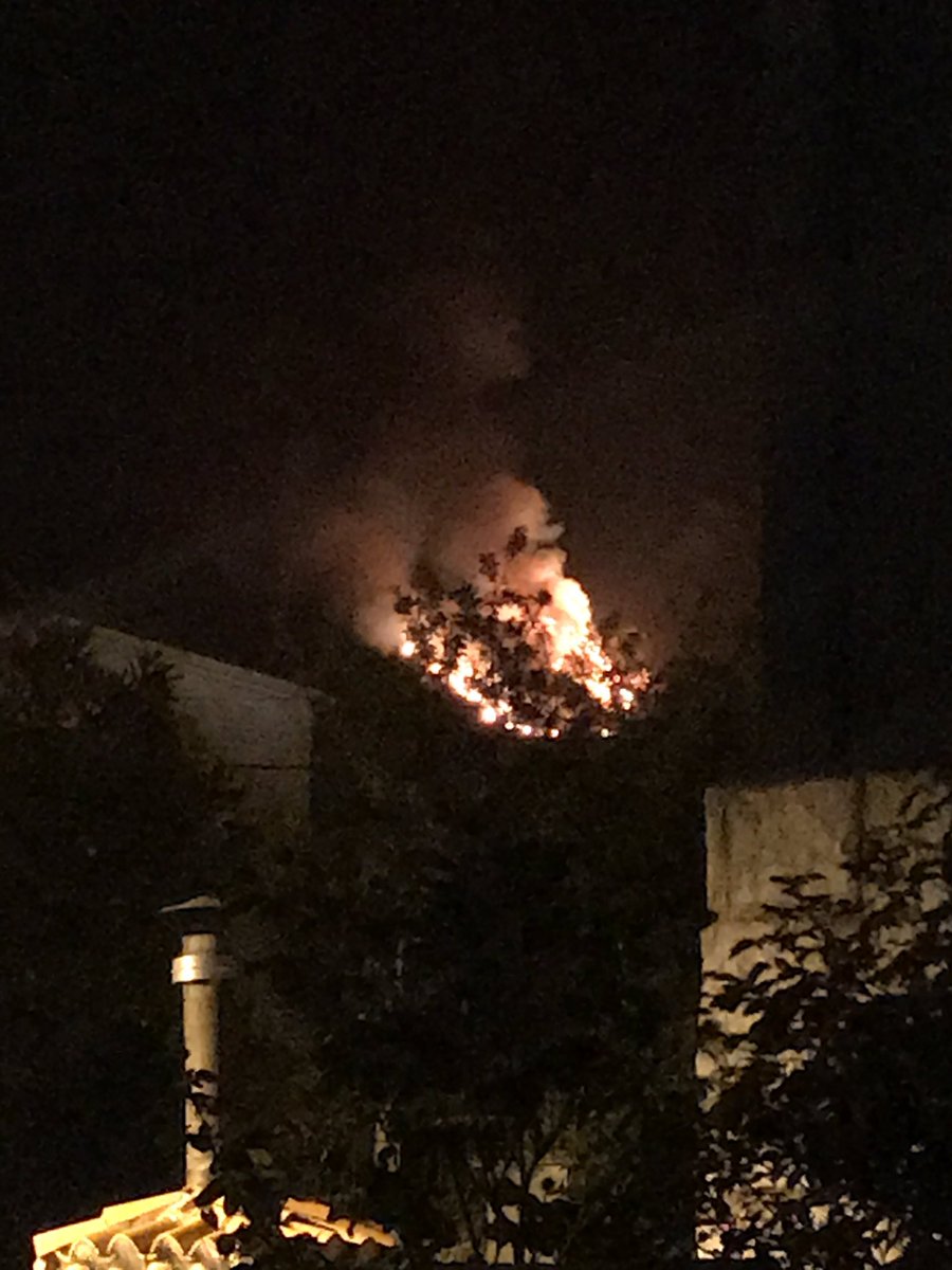 NACHORUIZMIGUEL's tweet photo. @IncendiosES Hervás, Cáceres. Ahora mismo. Se quema El Monte!!!! https://t.co/0Rrp16RdWY
