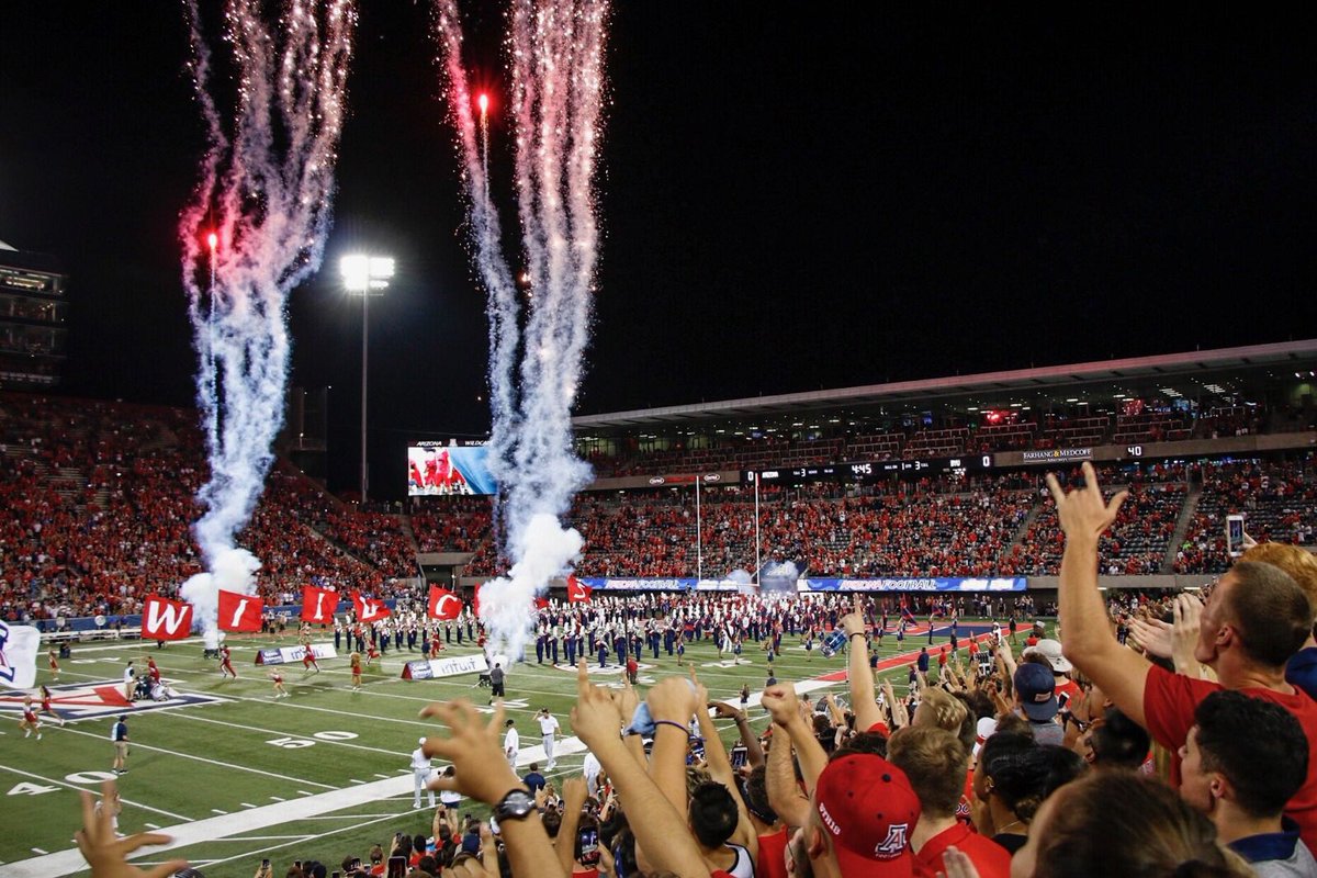ZonaZoo 🐻⬇️ tweet media