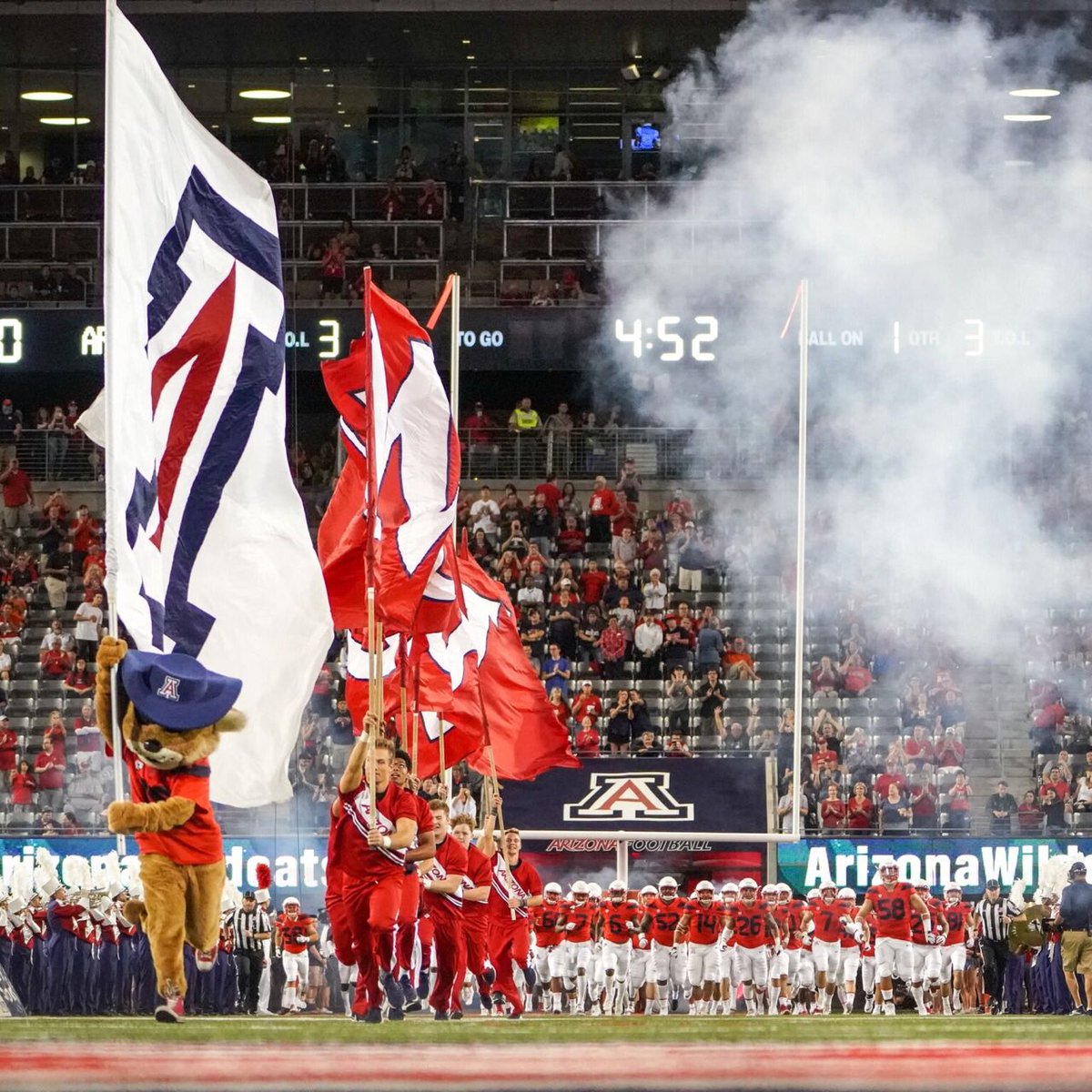 ZonaZoo 🐻⬇️ tweet media
