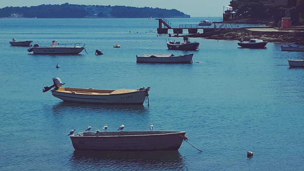 dejomal's tweet photo. #pula #zelenikabeach #closingsummer #searelax #amazingsea #seeyanextyear https://t.co/0tecMRV4Rc