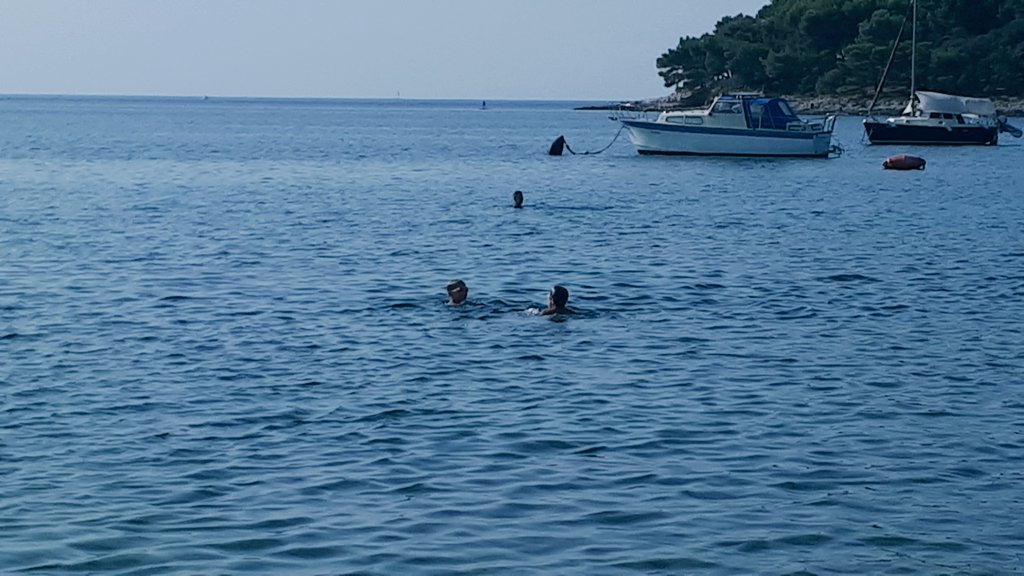 dejomal's tweet photo. #pula #zelenikabeach #closingsummer #searelax #amazingsea #seeyanextyear https://t.co/0tecMRV4Rc