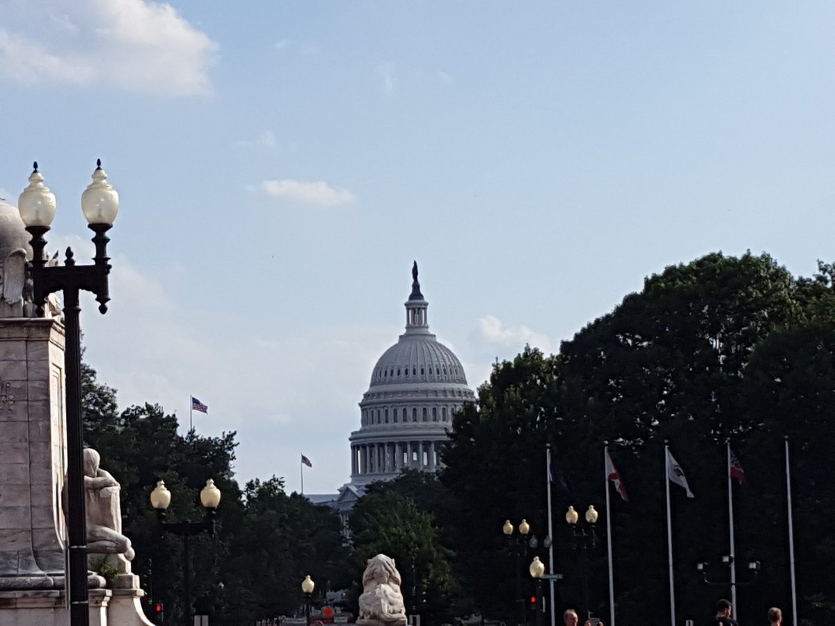 DragonGuyAndGal's tweet image. Hello DC! #Fincon