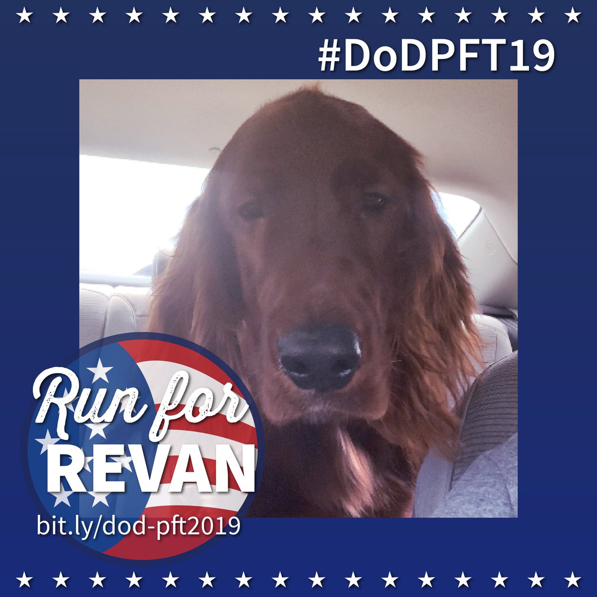 DogsonDeploymnt's tweet photo. 🚨WE NEED HELP!🚨 Revan broke her leg. Her #Navy parents turned to us for  help to cover her bills. We promised $818 - will you help us?

JOIN our effort #DoDPFT19! https://t.co/80OTHw0FP4 💙

#Virtual5K #Military #Pets #SupportOurTroops  #USNavy#Support #Donate #Charities #Give https://t.co/9KKd3rtUrT