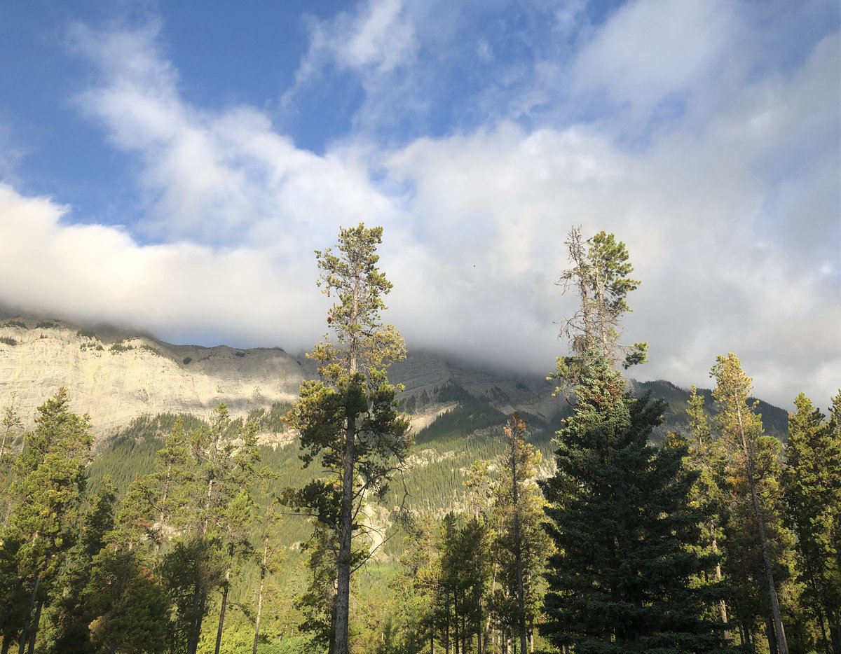 Magical morning view outside our hotel room in the #RockyMountains. #ilovenature #glampersparadise @babackua @LaraYuleSingh