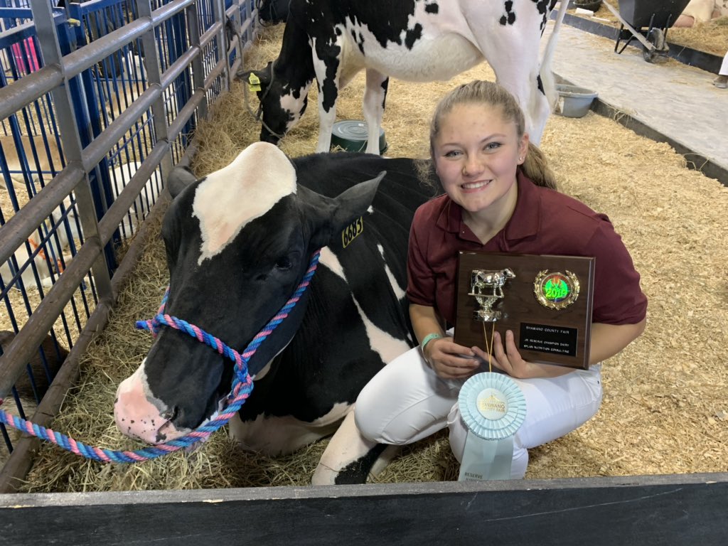 jarveyslp's tweet photo. Reserve Grand Champion registered Holstein!  So proud of Elena and Remember!! #Raiderstrong, #Raiderstrong_PHS, #pulaskiFFA https://t.co/YS2Fks92Et