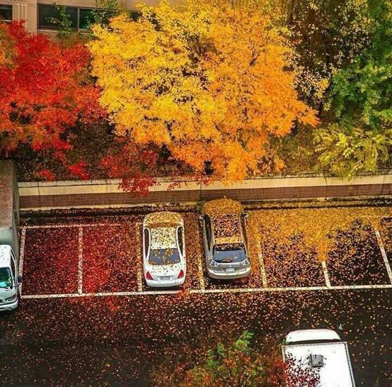 Hoşgeldin #sonbahar Hoşgeldin #eylül