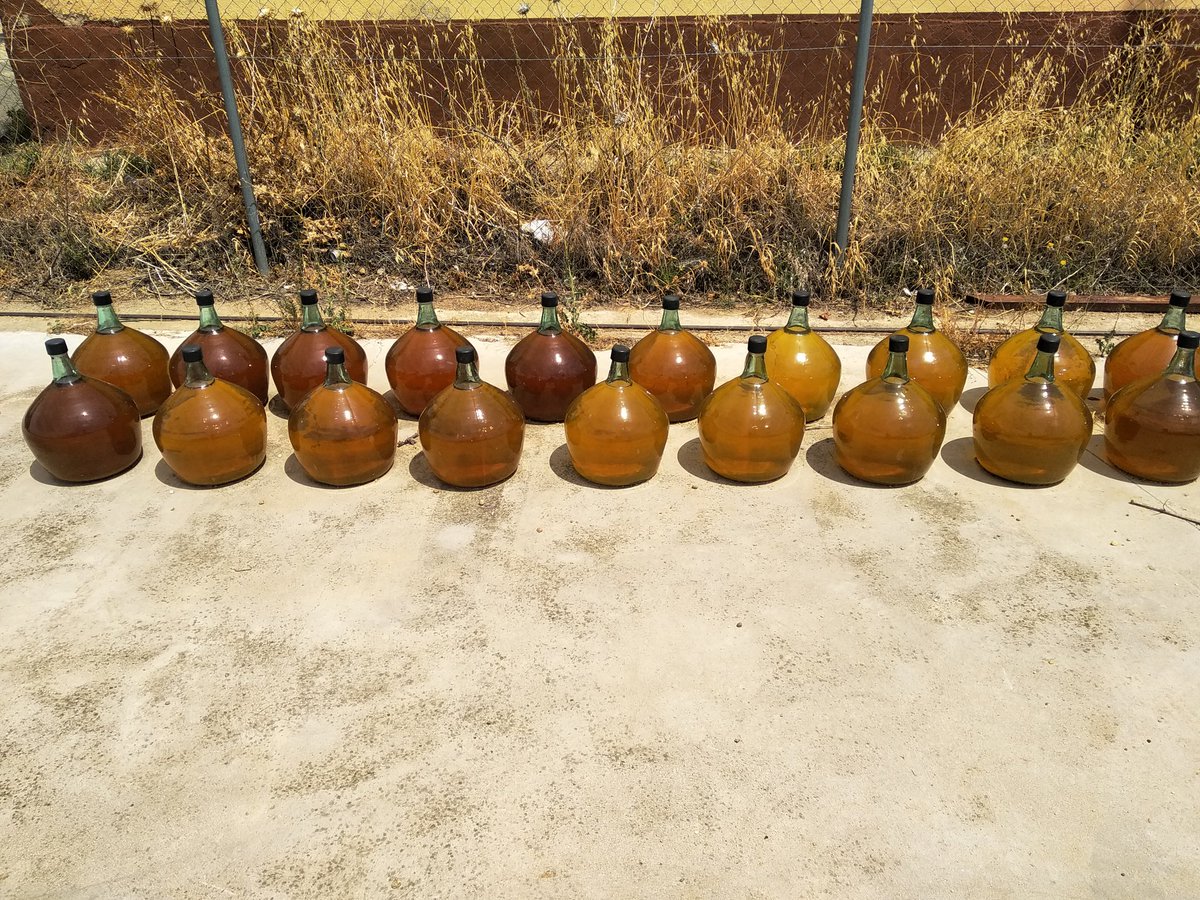 Vinogomez74's tweet photo. @Florologo @CarlosGuiaPenin @guiapenin @CuatroRayas @DORueda Os olvidáis de quizás una de las bodegas más antiguas de Rueda, Vidal Soblechero...ellos nunca dejaron de hacerlos además de seguir trabajando sus preciosos majuelos en vaso. https://t.co/vgyjMQjpoY