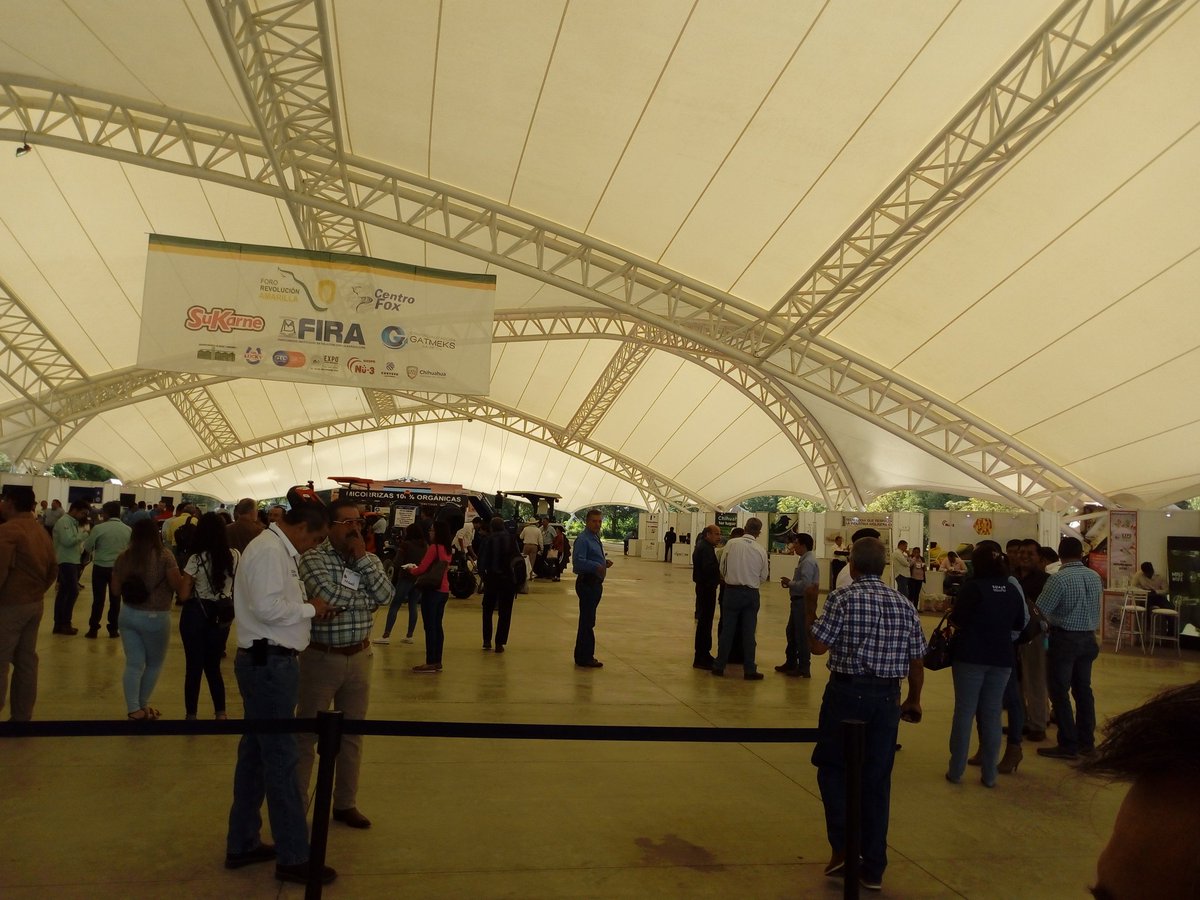 Jose59050306's tweet photo. #REVOLUCIÓNAMARILLA foro estatal para la difusión del maiz amarillo asi como estrategias, mercados, variedades y tecnologias para una produccion exitosa. https://t.co/VSUBzKdWvl