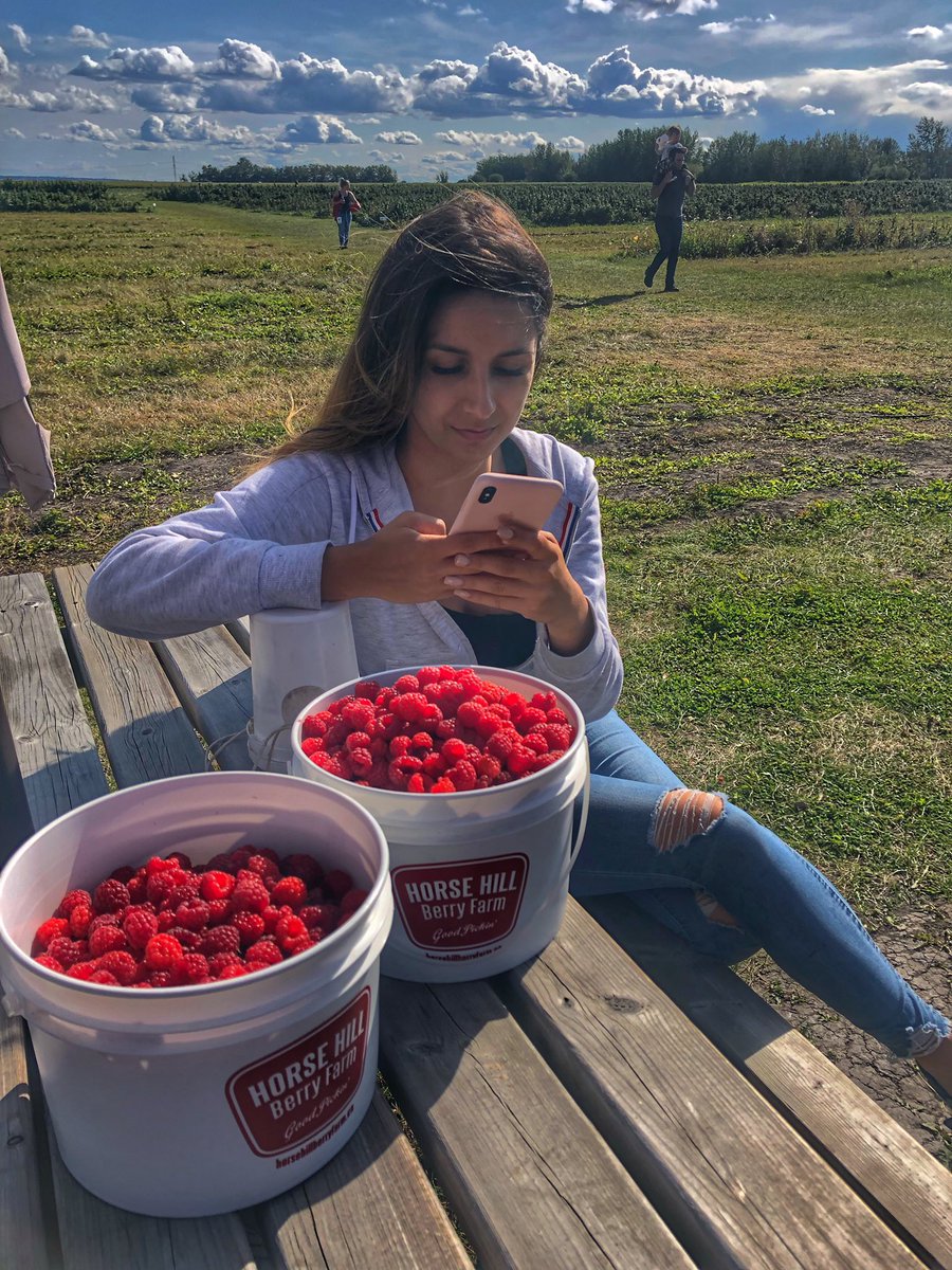 Coffee_Baileys's tweet photo. Getting outside for some nature therapy! We punched in locations within the city limits on the #ford_explorer navigation system and headed out to pick raspberries, visit the corn maze, a farmers market, make flower crowns and have fun! #ford_outdoors #ford_partner #yeg https://t.co/u3l8YvU4Th