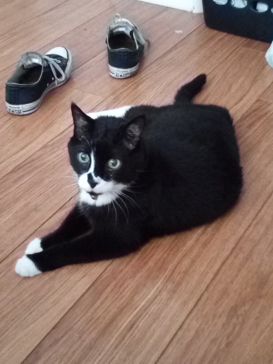 my man,, .,., muscoles frome hand too foote, completoly coated in unintoruptied skin