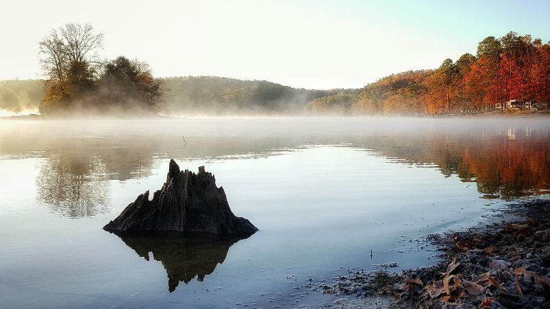 Are you ready for fog? 📱 - eepurl.com/gB5bSz