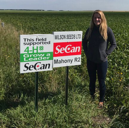 JennESprung's tweet photo. Wilson Seeds and Secan busy at it; helping our 4H clubs prepare for the future. #SeCanGrowaLeader #4HLaRiviereBeefClub https://t.co/8onGLAJSQC