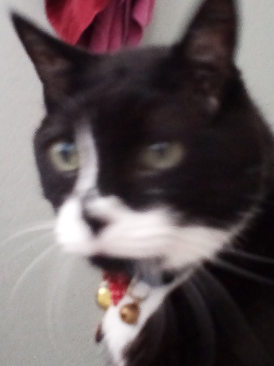 don't looke at me binch i'll consume yuor focking flesh