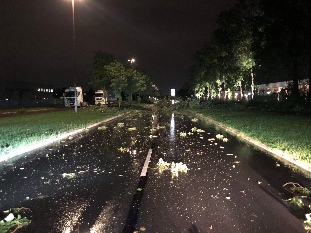 pix Lynnedslag I Træer twitter