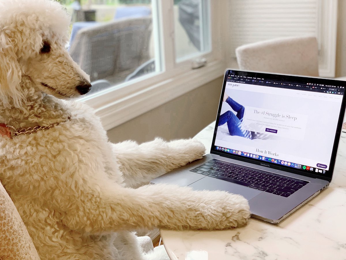 MichellePLive's tweet image. Have you grabbed your #TimetoPaws box yet? @MyJaneInc teamed up with @welovecuddly to curate our favorite #CBD products for your pets &amp;amp; for YOU, too! 🐶💜🐱 It's just $69 &amp;amp; packed full of $150 worth of goodies!

myjanecbd.com/cuddly/

#MyJane #OwnYourWellness