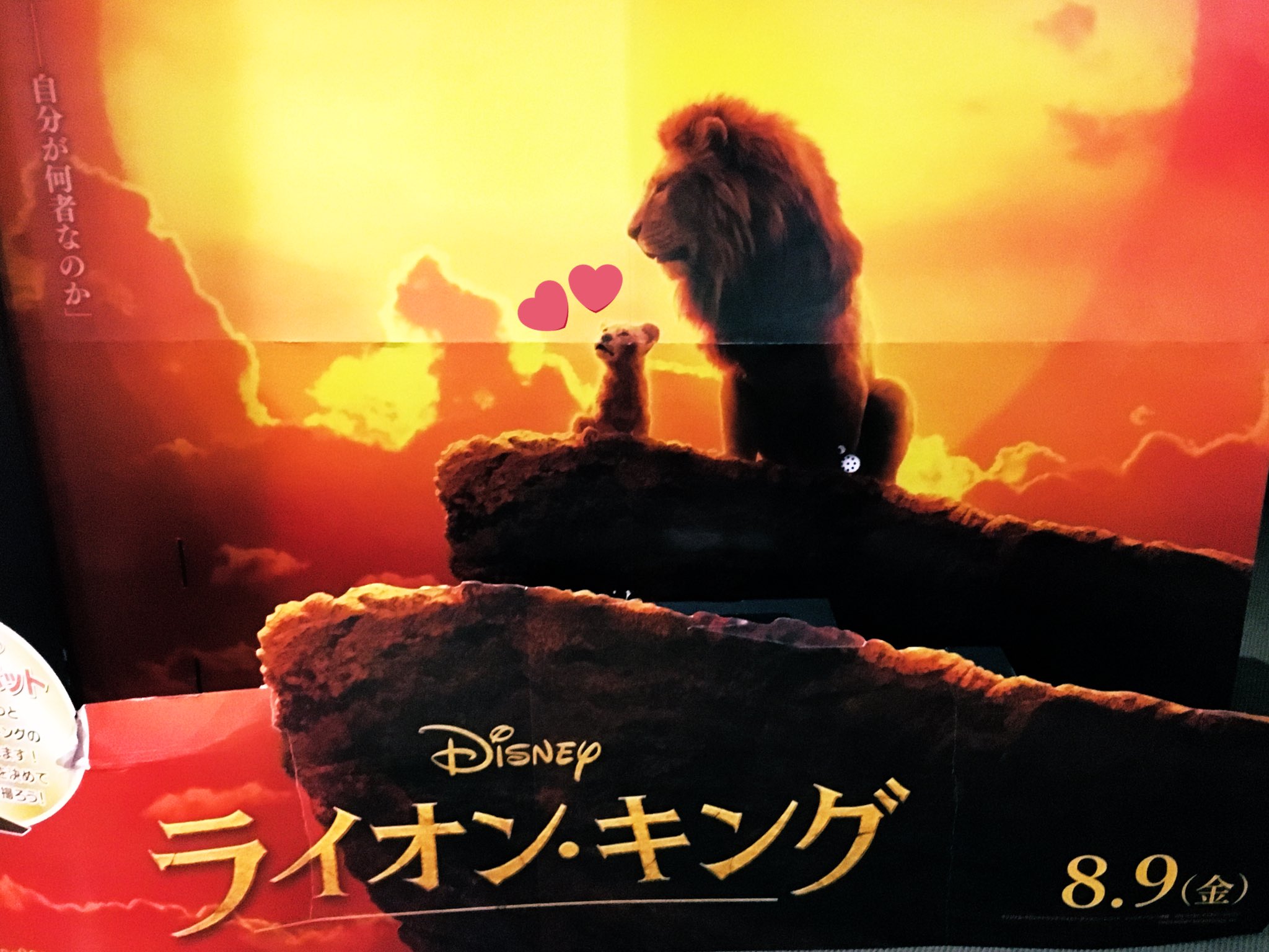 えるのあ 劇団四季 今日はウキウキワクワクドキドキな日 まずは朝からナァァアアアアアアアア サバンナへ行って参ります 映画なのにバックのなかにオペグラが 入っているのは内緒 癖って怖いwww 劇団四季と同じぐらいに楽しみすぎる えるのあ 劇団四季 今日はウキウキワクワクドキドキな日 まずは朝からナァァアアアアアアアア サバンナへ行って参ります 映画なのにバックのなかにオペグラが 入っているのは内緒 癖って怖いwww 劇団四季と同じぐらいに楽しみすぎる