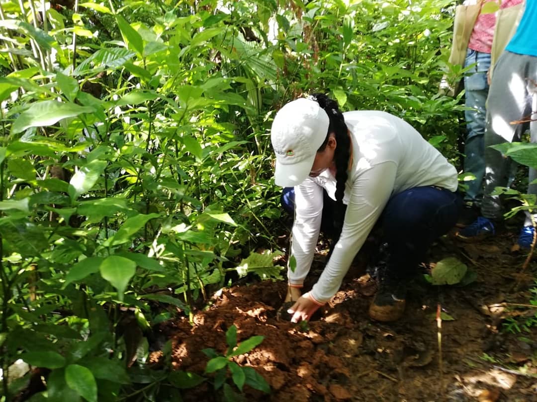 futuraseo's tweet photo. Nos sumamos a la gran #Sembraton

En el municipio de Mutatá nos integramos a la gran jornada de siembra de árboles que se realizó en todo el departamento.

Sembrar y cuidar árboles es un compromiso que debemos asumir en conjunto.

#Futuraseo
#ComprometidosConElMedioAmbiente https://t.co/1efHCaM5jH