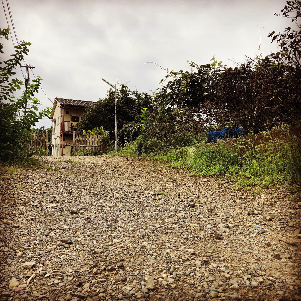 Uzivatel Atti Channel Na Twitteru 凪のお暇ロケ地に ゴーヤで覆われたベランダや エレガンスパレス の看板は無かったけど きっとココ あー金曜日が待ち遠しい 凪のお暇 凪のお暇ロケ地 エレガンスパレス 聖地巡礼 ロケ地 ロケ地探訪 ロケ地巡り