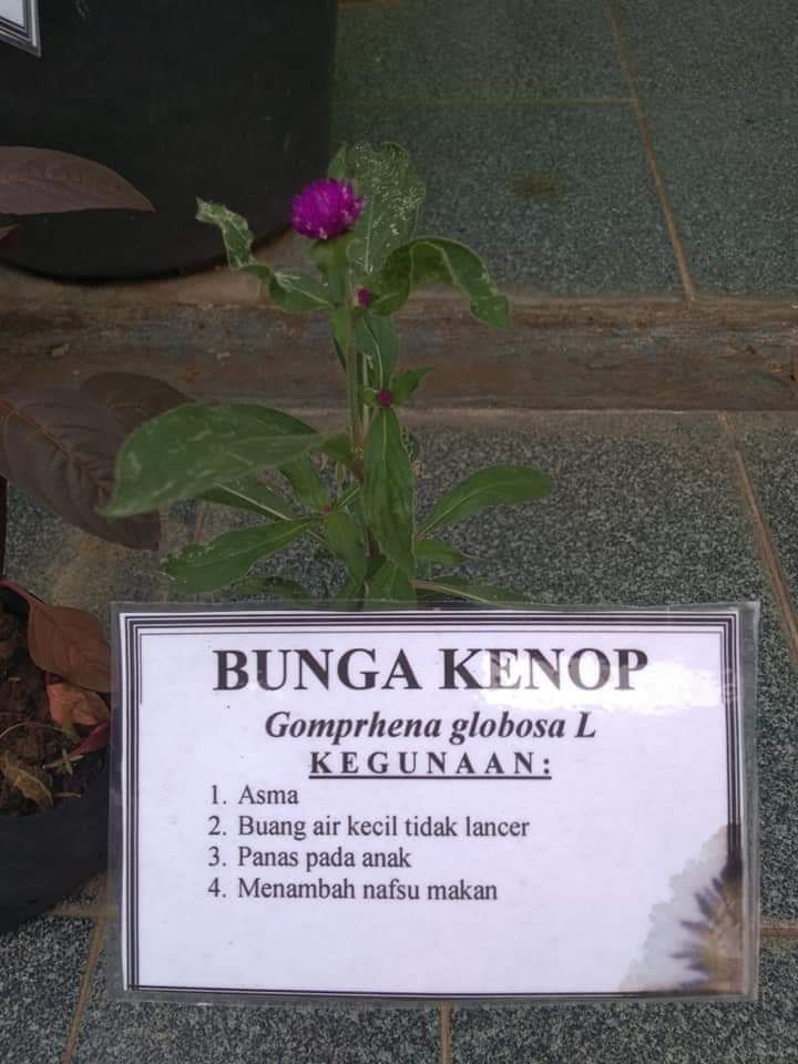 pulosari77's tweet photo. Kegiatan Toga kepada kader pkm pulosari https://t.co/opzXz2Jr7s