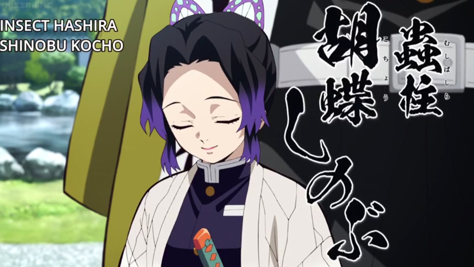 Kirishima The Insect Pillar Shinobu Kocho Kirishima The Insect Pillar Shinobu Kocho