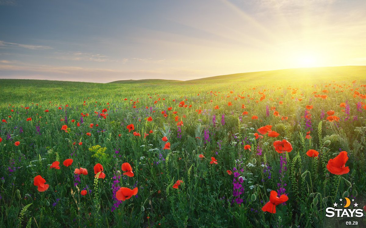 StaysCollection's tweet image. Happy Spring Day! It is time to start planning your next adventure. 

stays.co.za

#stays #Staysselect #localvenues #travelsouthafrica #Southafrica #holiday #spring #adventure