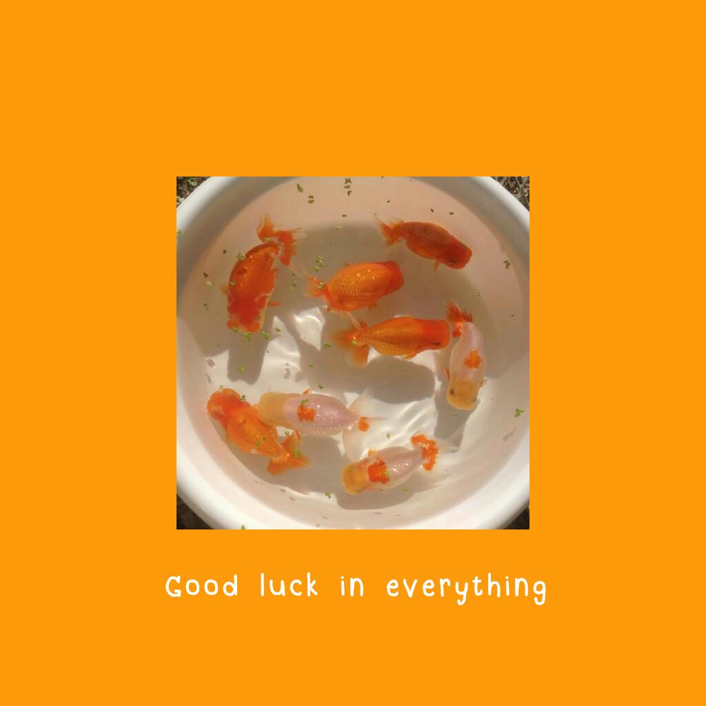 𝙅𝙚𝙙𝙞 𝘿. tweet media