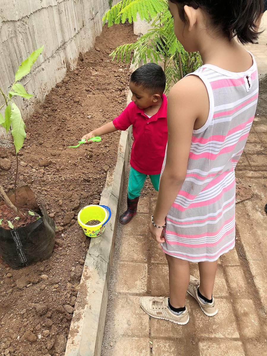 MarvelEnigma's tweet photo. Enigma driveway Plantation pictures. Lovely https://t.co/98B6tgeqMH