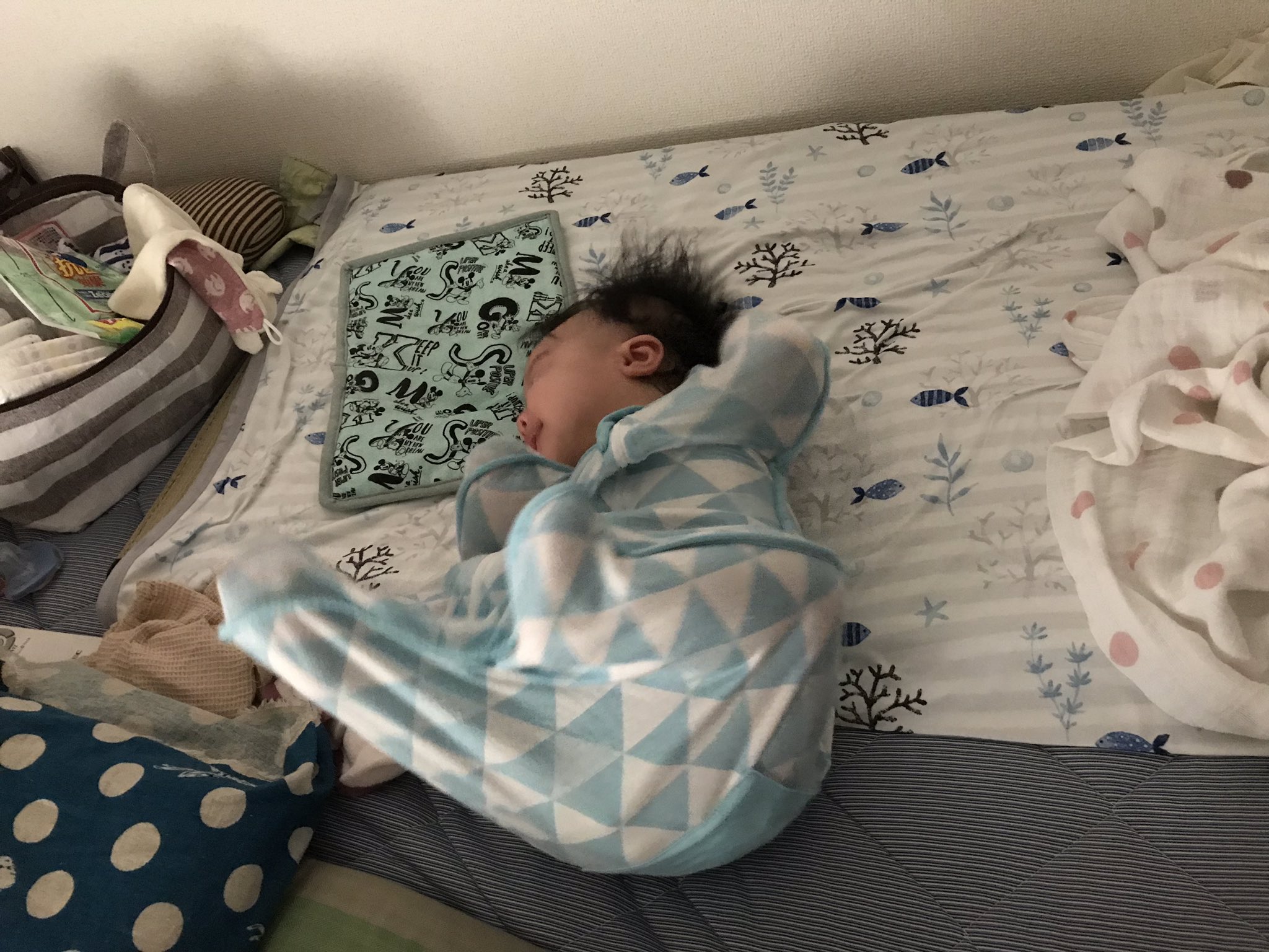 紫月 娘2 5y ちゃんと縦に寝かせてたのに 足をバッタンバッタンさせながらお尻を中心にもぞもぞ横向きに移動して最終的に私が蹴られるという 何この寝相www 育児 3ヶ月ベビー 赤ちゃん スワドルアップ T Co Rupwqskdmr Twitter